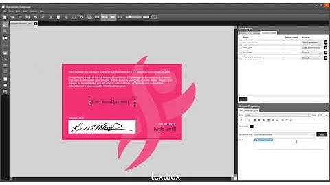 CardStudio How to print a card serial number  Zebra