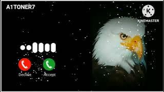 Message Ringtone | Notification Ringtone | Message Tone | Sms Ringtone | Funny Ringtone #ringtone