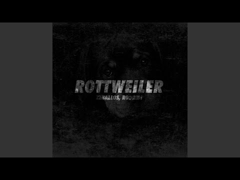 Zeballos & Rodridi - Rottweiler