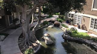 For Rent: 208 Springview, Irvine