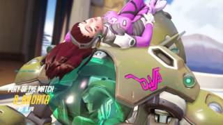 [Overwatch] Rein Dva ulty team kill