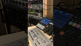 Roland TB-303 & Tubbutec MC-2oh2 playing high notes from Polyend Tracker #tb303 #analogiapl #mc202