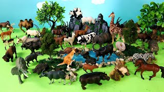 Safari Diorama and Herbivorous Animal Figurines   Learn Animal Names