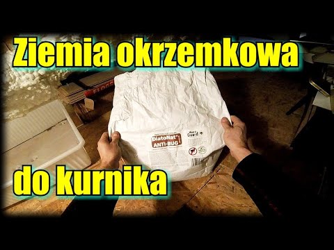 Wideo: Gdzie znajdę ziemię okrzemkową?