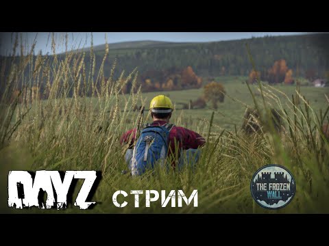 Видео: ВЫЖИВАЛИТИ DAYZ СТРИМ. FROZEN WALL.