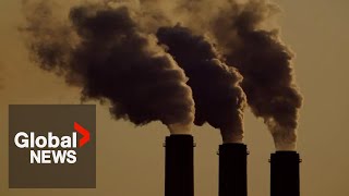 COP29: Little progress made since last climate summit, UN special rapporteur says