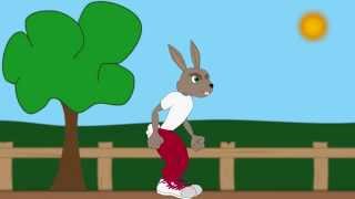 Tortoise and Hare