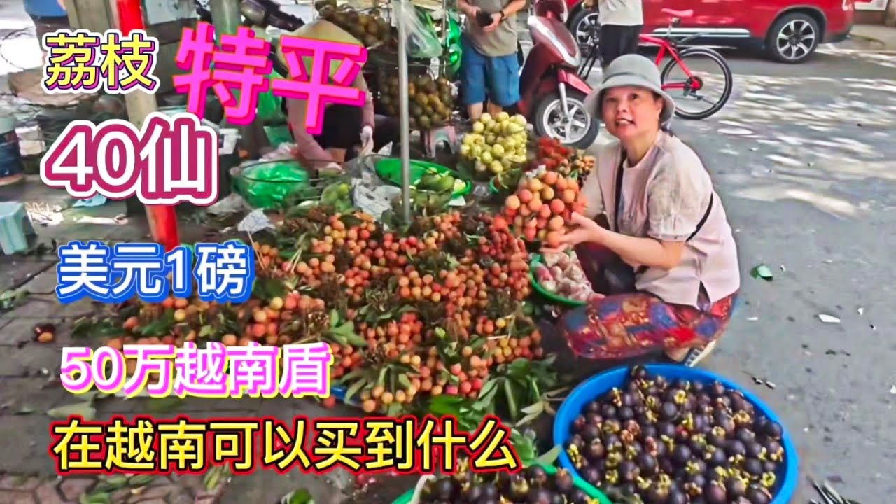 我真的不相信五十万越南盾可以买这么多食物大家也来算一下这么多东西你们那里可以买多少钱- YouTube