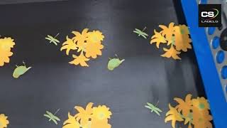 CS Labels - Raised Spot Varnishes