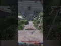 The Bleeding Traitor: A Viking Tip! (full video on profile)