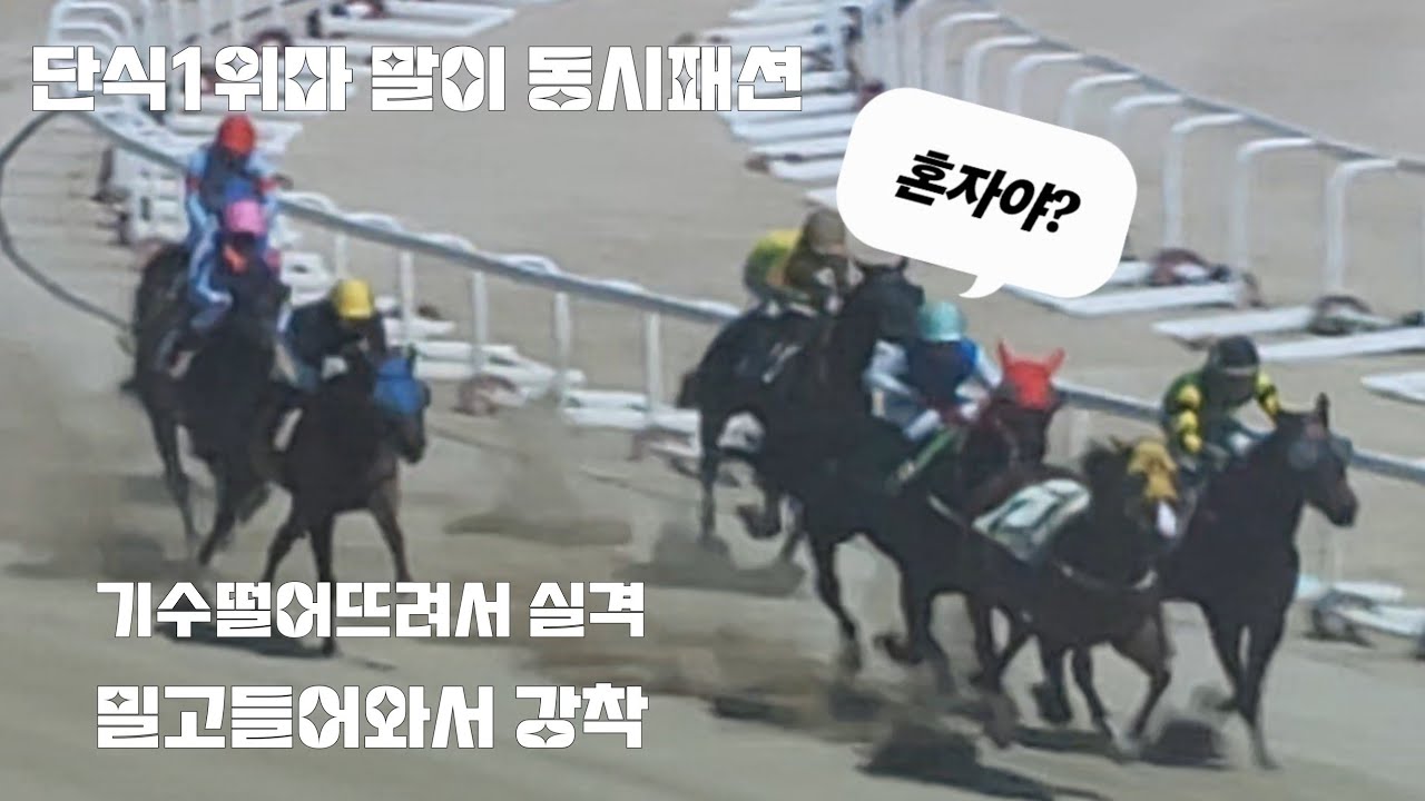기수떨어뜨리고 말혼자 신나게 달려가면서 착순을 바꾸어놓았다!