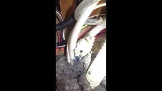 How To Quiet A Noisy RV Water Pump - 10 Minutes - 5 Bucks