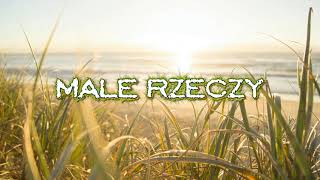 Sylwia Grzeszczak - Male Rzeczy (MEDROV Bootleg)
