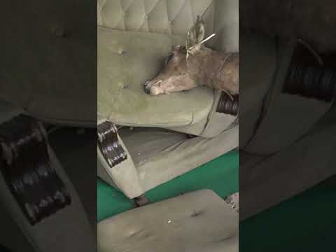 【閲覧注意】廃墟のホテルで見つけたものに驚きを隠せない