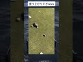 これはテンションあがるのもわかるww #shorts