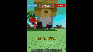 My Raccoon Has A Big Problem