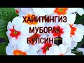 КУРБОН ХАЙИТИНГИЗ МУБОРАК/HAYIT MUBORAK🕋🌹🕋