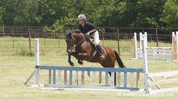 Dash - riding over fences #1 - ValleyViewRanch.net