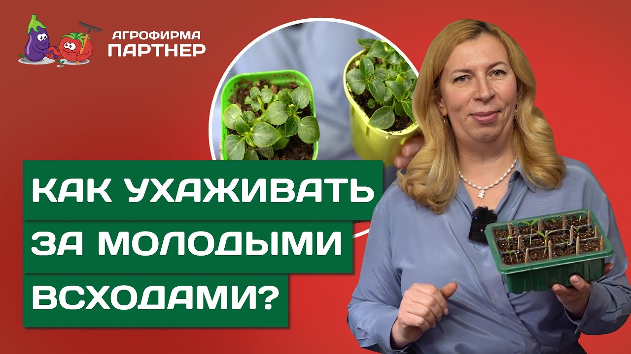 ЧТО ПОСЕЯТЬ В НАЧАЛЕ МАРТА. ПРОДОЛЖАЕМ УХАЖИВАТЬ ЗА РАССАДОЙ - YouTube