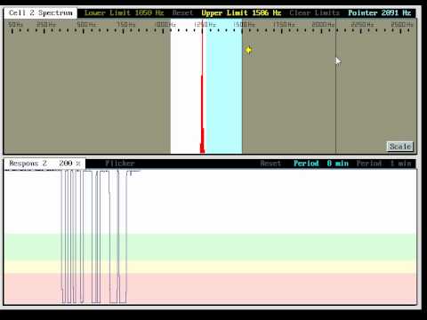 The Ideal Band-Pass Filter (Flame Monitor)