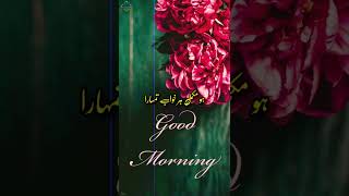Good morning dua muskurahat tumhara labo se kabhi chut na paya||good morning poetry status||#shorts