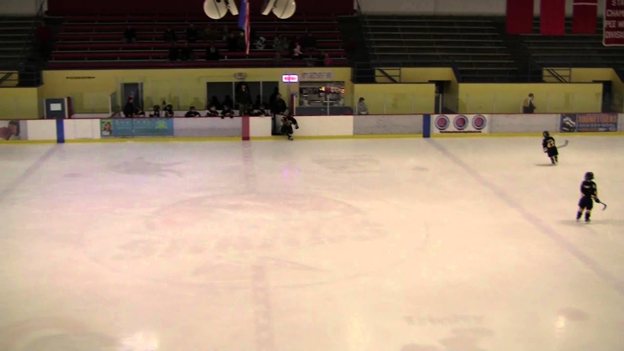 Ridgefield Lions vs Stamford Sharks, Mite A