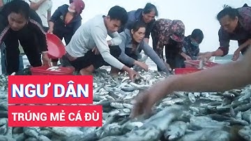 Ngư dân trúng mẻ cá đù, cả trăm người kéo đến mua ngay tại bãi biển