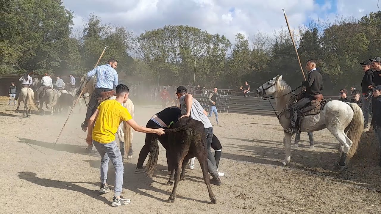 CODOGNAN JOURNEE EN PAYS CHEZ ROBERT H 30/10/22 - YouTube