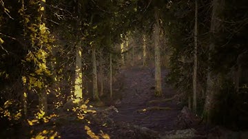 Riverhead Forest - A Procedurally Generated, Spatial Visualization