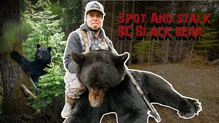 British Columbia Spot and Stalk Black Bear - 2 Year Journey