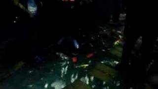 E3 2005 - Zelda's pond