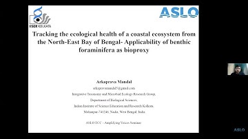 Amplifying Voices Webinar Feb 24 2022