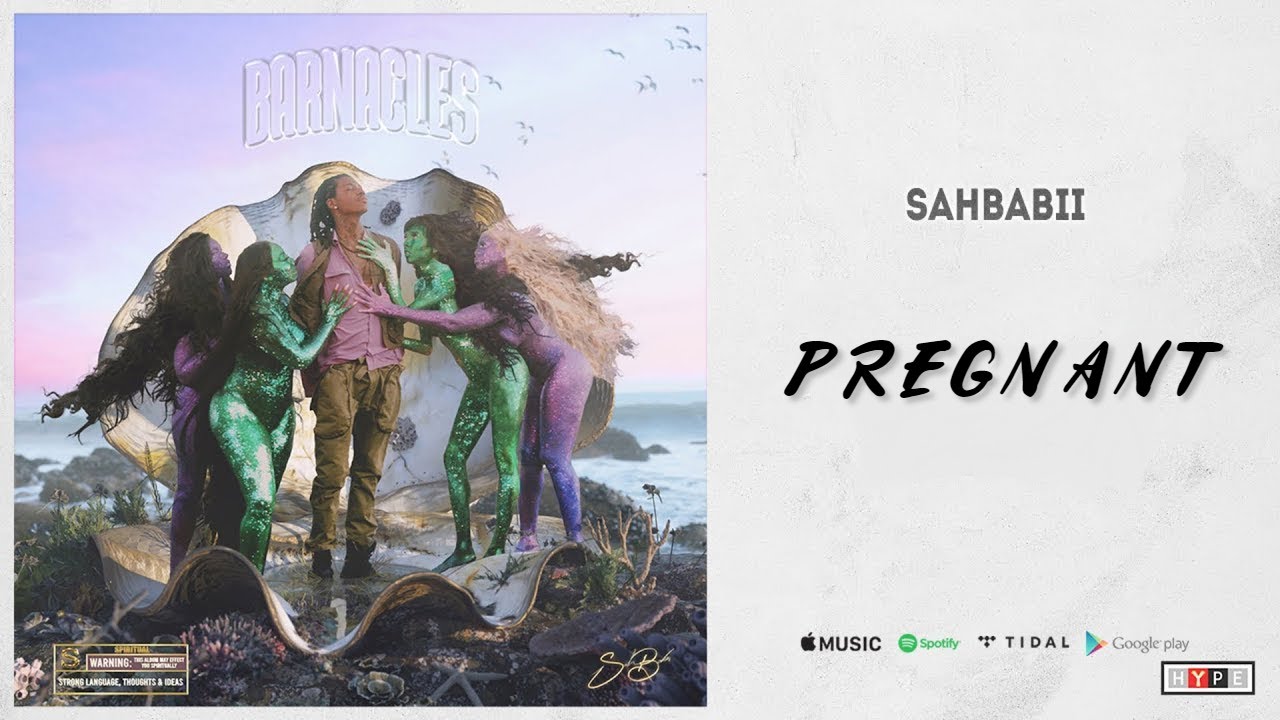 Sahbabii - Pregnant [INSTRUMENTAL]