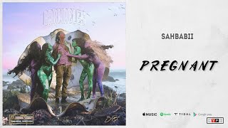 Sahbabii - Pregnant [INSTRUMENTAL]