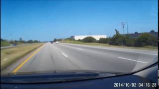 Birds hit my windshield