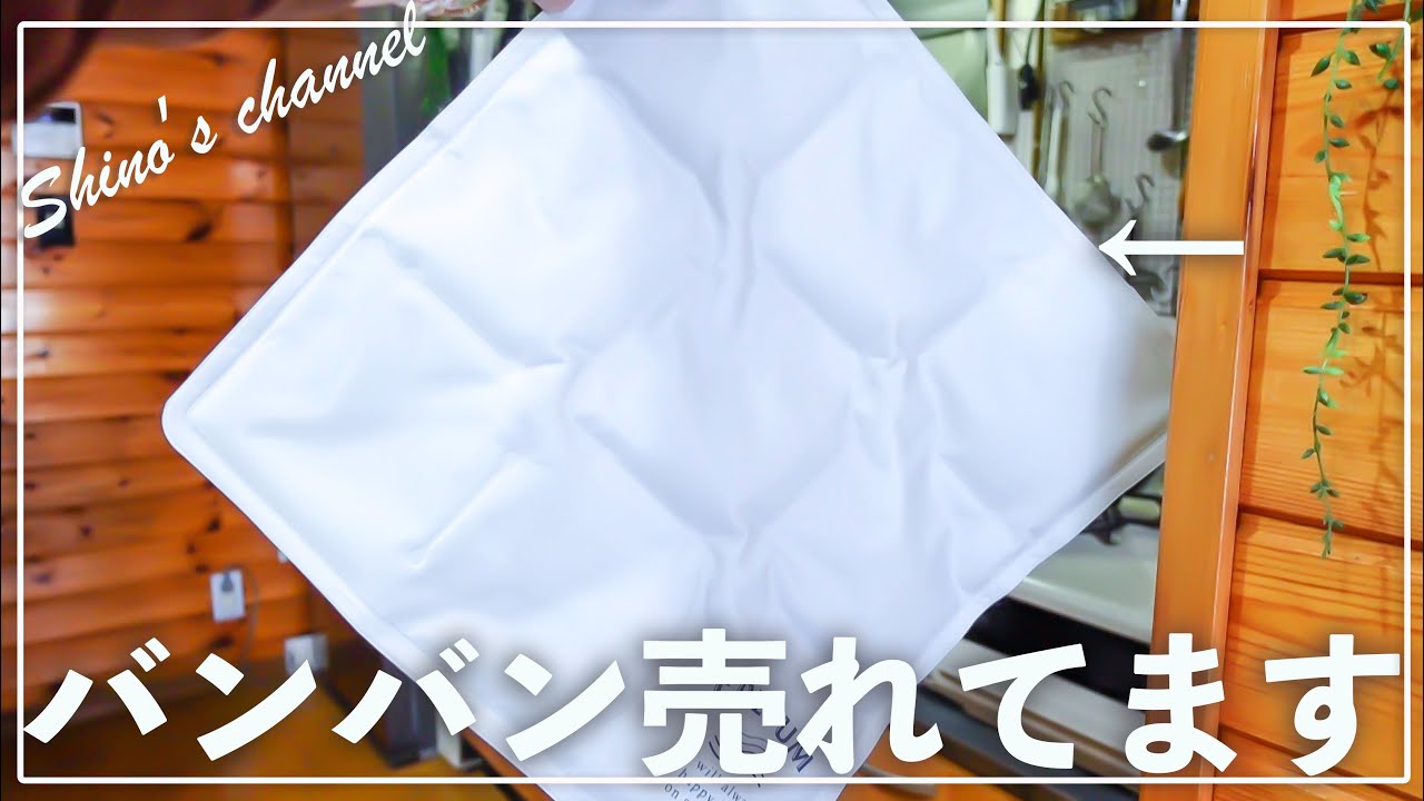 【ダイソー&セリア】本気出して来た‼︎コスパ良すぎな収納・便利グッズ #51