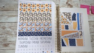 Erin Condren Daily Duo Plan With Me Aug 17-18 2026