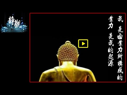 【靜觀】18