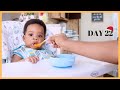 6 MONTH OLD BABY TRIES SOLIDS FOR THE FIRST TIME! - CEREAL, AVOCADO & SWEET POTATO - VLOGMAS DAY 22