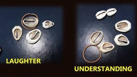 How to use 7 Cowries for divination #theseer #cowries