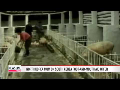 Video: Kinumpirma Ng N. Korea Ang Foot-and-Mouth Outbreak
