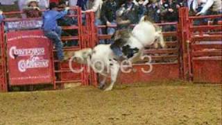 Wilfong Bucking Bulls vs. Ace Of Spades Clone Match