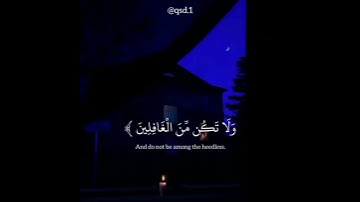 سورة الأعراف (205)القارئ عبدالرحمن مسعد