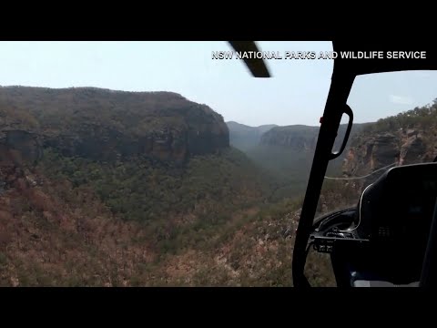 Helicopter drops vegetables