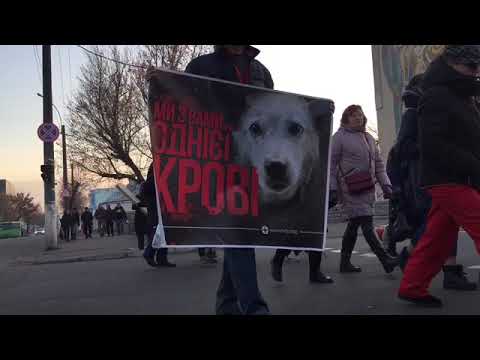 В Павлограде прошел марш «Животные имеют право на жизнь»