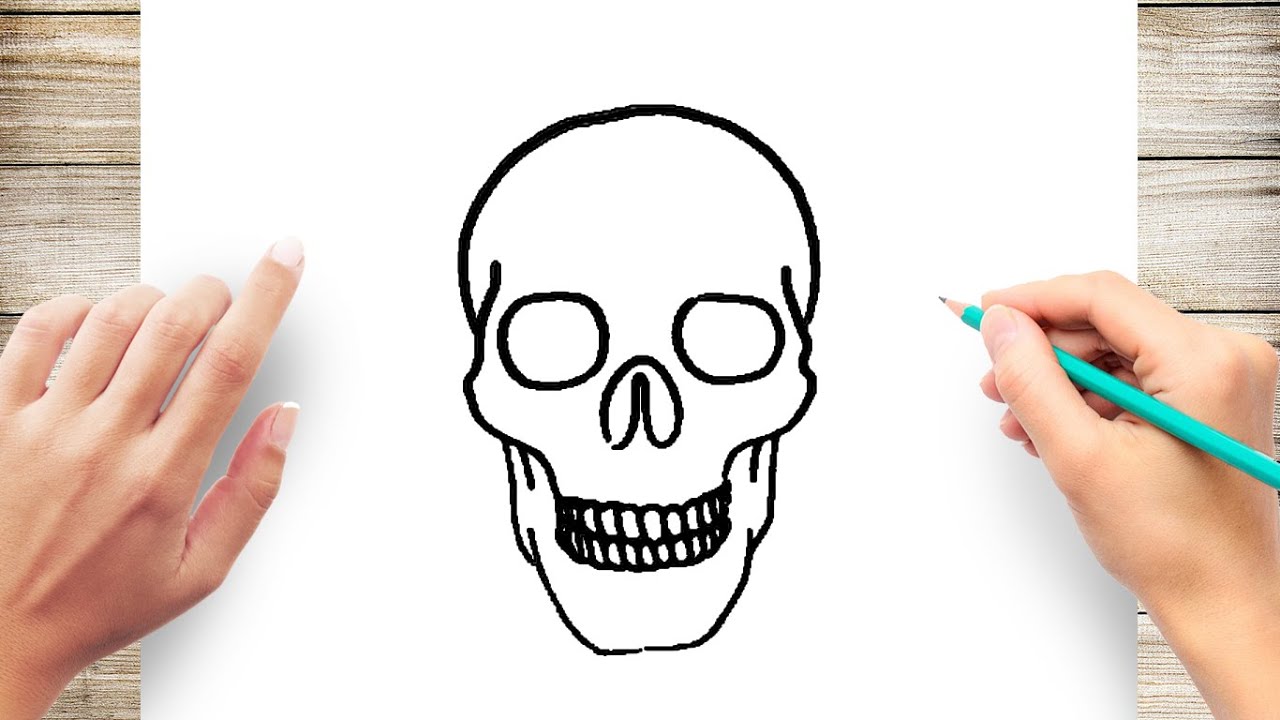 Premium Vector  Human skull drawing