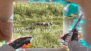 СТОЙ, МОЖНО Я С ТОБОЙ?🥹