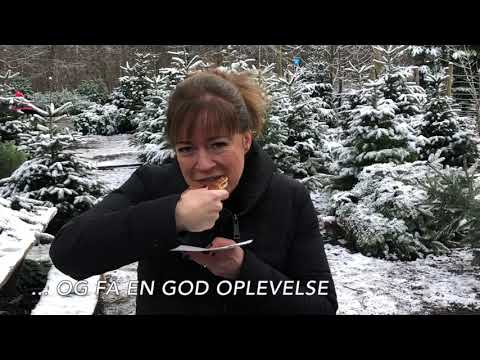 Video: Hvad Skal Man Gøre, Så Juletræet Ikke Smuldrer Forud For Tidsplanen