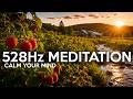 528 Hz Meditation Music | Positive Energy & Emotional Healing | Riverside Raspberry Plantation