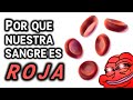 Por qué la sangre es roja | Carbovirus